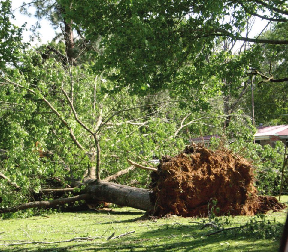 Microburst causes damage throughout county | Cass County Citizens ...