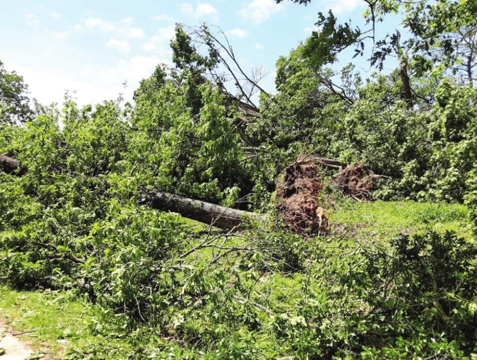 Microburst Causes Damage Throughout County 